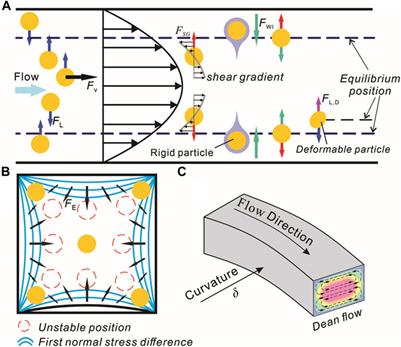 Sheathless inertial particle focusing methods within microfluidic devices: a review